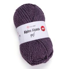 alpine alpaca new